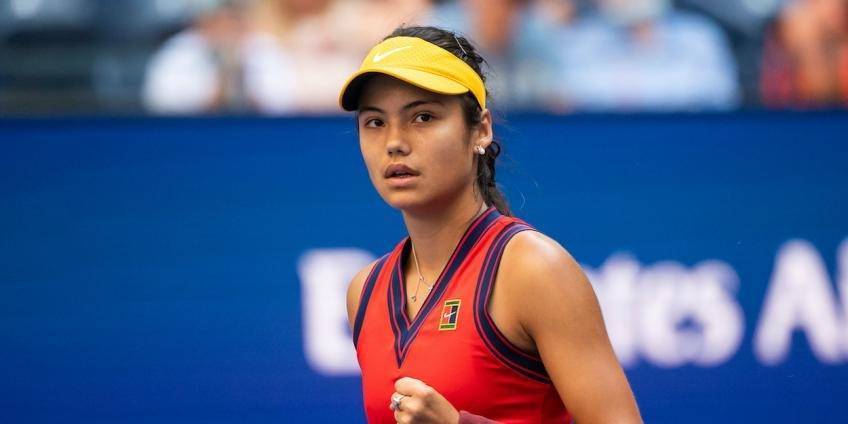 球迷和评论 球迷和评论